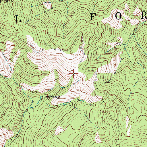 Topographic Map of Fly Creek Campsite, ID