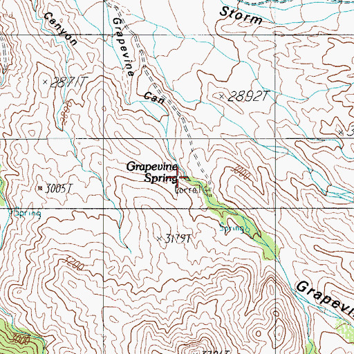 Topographic Map of Grapevine Spring, AZ