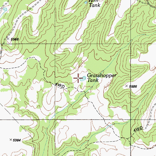 Topographic Map of Grasshopper Tank, AZ