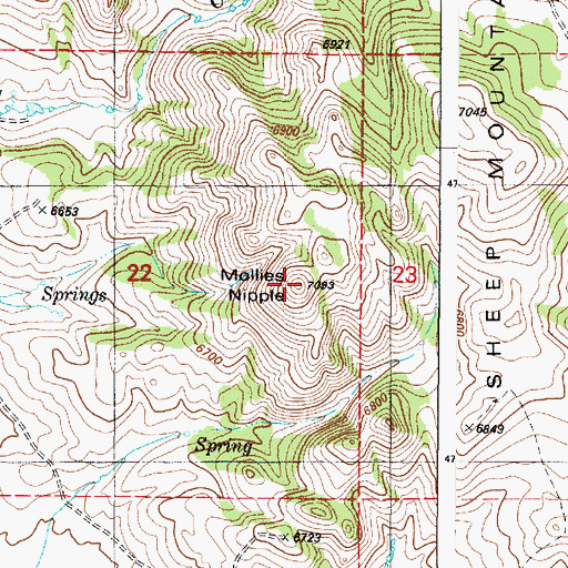 Topographic Map of Mollies Nipple, ID