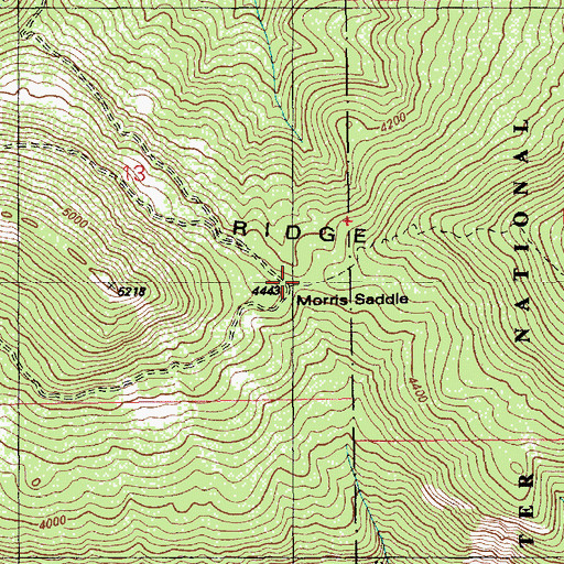 Topographic Map of Morris Saddle, ID