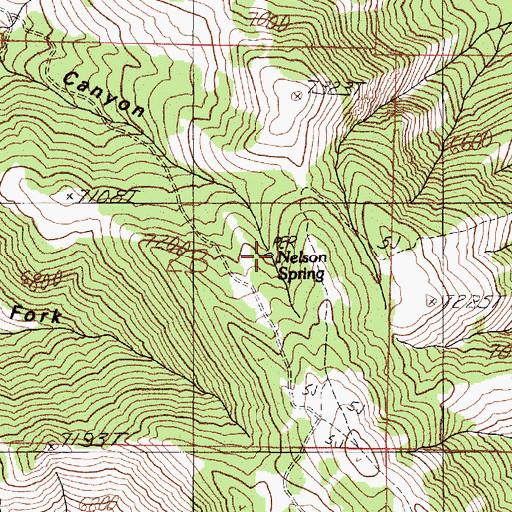 Topographic Map of Nelson Spring, ID