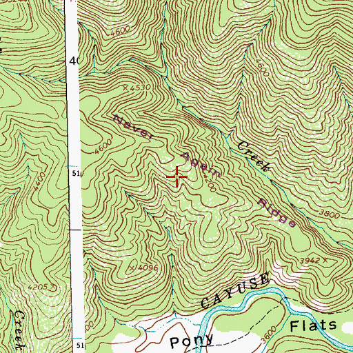 Topographic Map of Never Again Ridge, ID