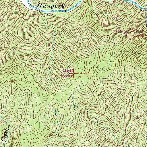 Topographic Map of Obia Point, ID