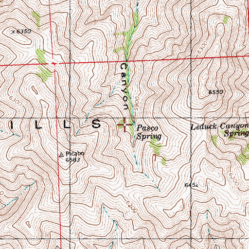 Topographic Map of Pasco Spring, ID
