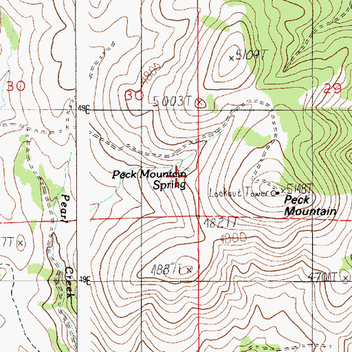 Topographic Map of Peck Mountain Spring, ID