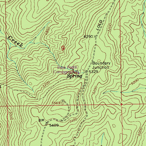 Topographic Map of Pete Forks Campground, ID