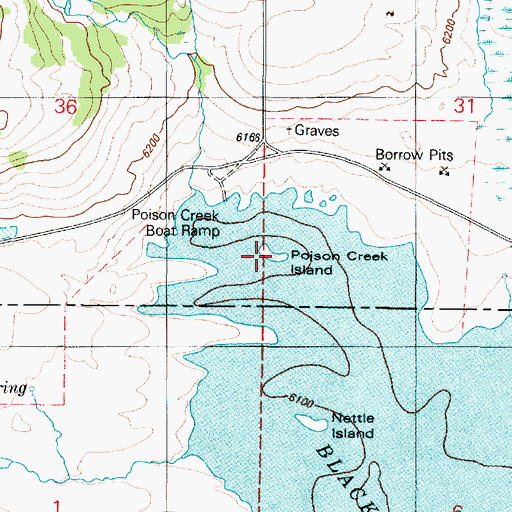 Topographic Map of Poison Creek Island, ID