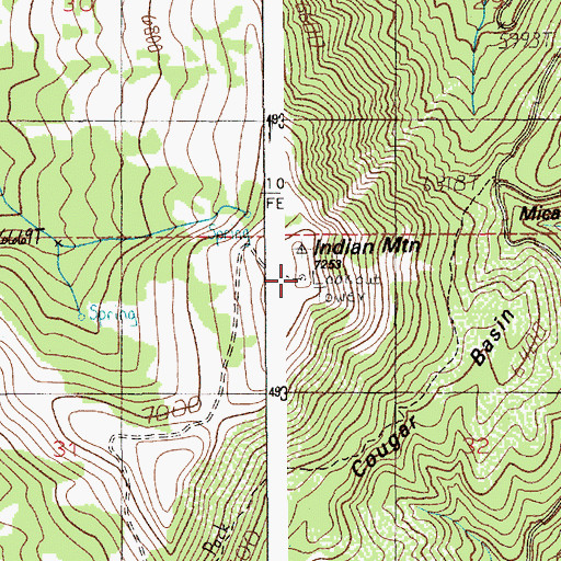 Topographic Map of Indian Mountain Lookout Station, ID