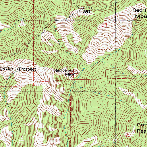 Topographic Map of Red Horse Mine, ID