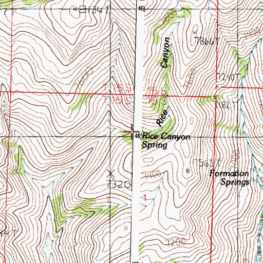 Topographic Map of Rice Canyon Spring, ID