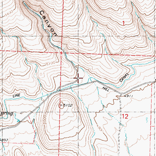 Topographic Map of Road Canyon, ID