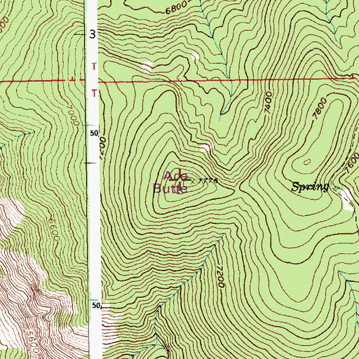 Topographic Map of Ace Butte, ID