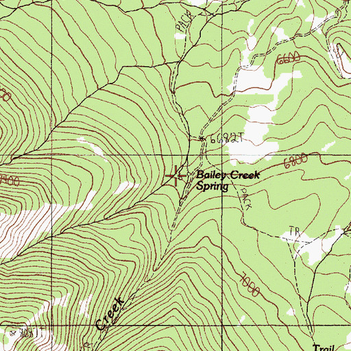 Topographic Map of Bailey Creek Spring, ID
