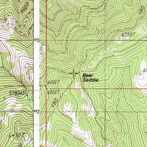 Topographic Map of Bear Saddle, ID