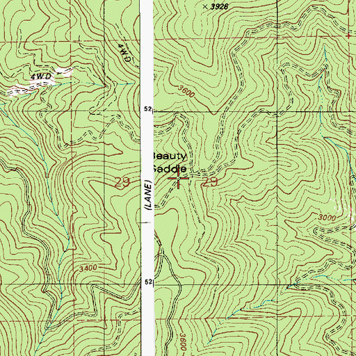 Topographic Map of Beauty Saddle, ID