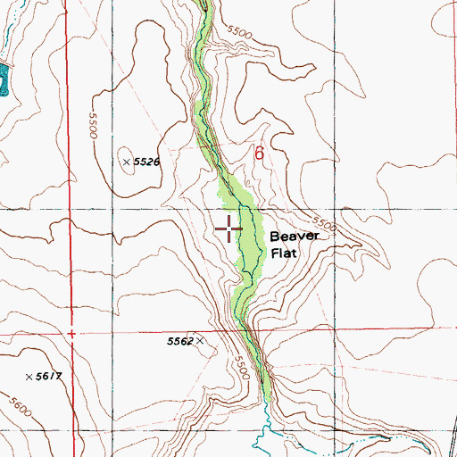Topographic Map of Beaver Flat, ID