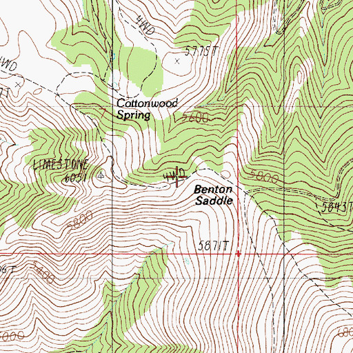 Topographic Map of Benton Saddle, ID