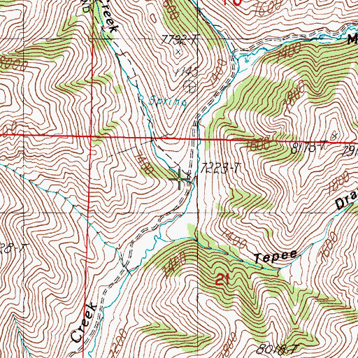 Topographic Map of Big Spring Creek, ID