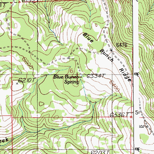 Topographic Map of Blue Bunch Spring, ID