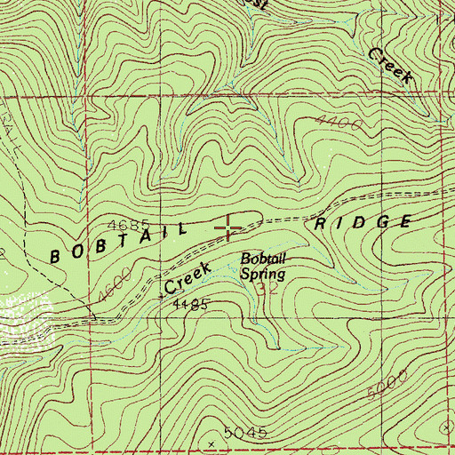 Topographic Map of Bobtail Ridge, ID