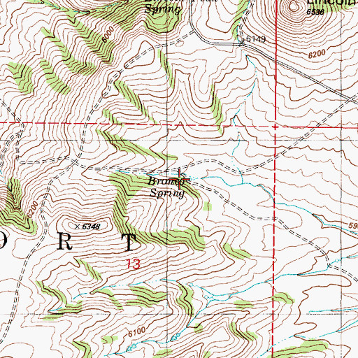 Topographic Map of Bronco Spring, ID