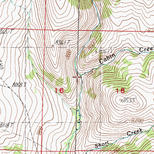 Topographic Map of Cabin Creek, ID