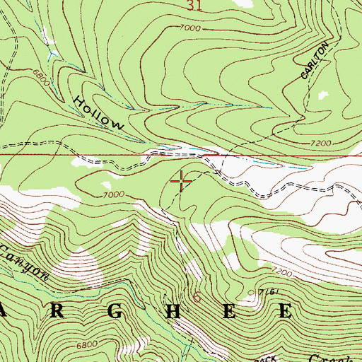 Topographic Map of Carlton Cutoff Trail, ID