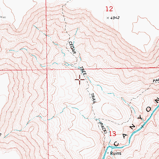 Topographic Map of Cedar Tree Trail, ID