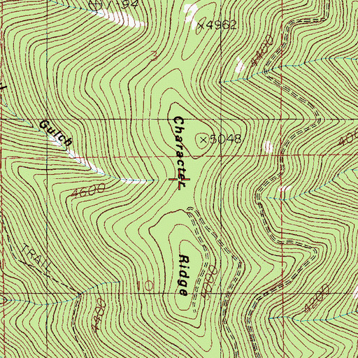 Topographic Map of Character Ridge, ID