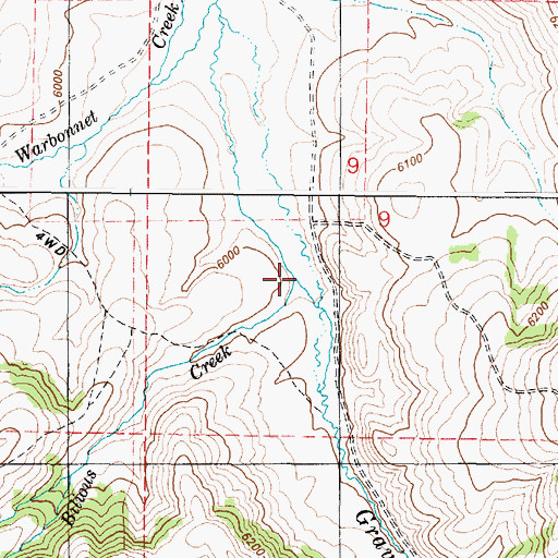 Topographic Map of Bilious Creek, ID