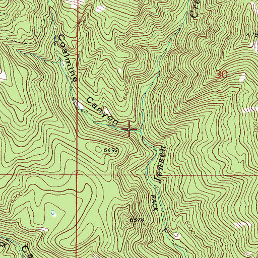 Topographic Map of Coalmine Creek, ID