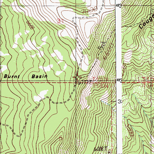 Topographic Map of Cougar Basin Trail, ID