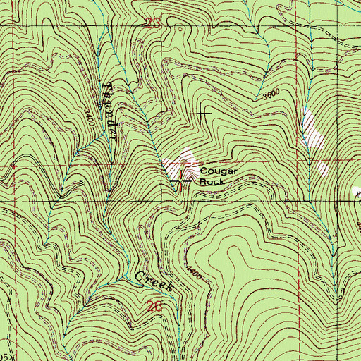 Topographic Map of Cougar Rock, ID