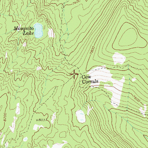 Topographic Map of Cow Corrals, ID