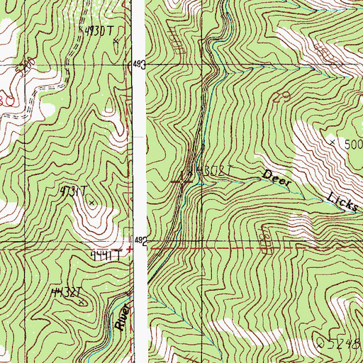 Topographic Map of Deer Licks Creek, ID