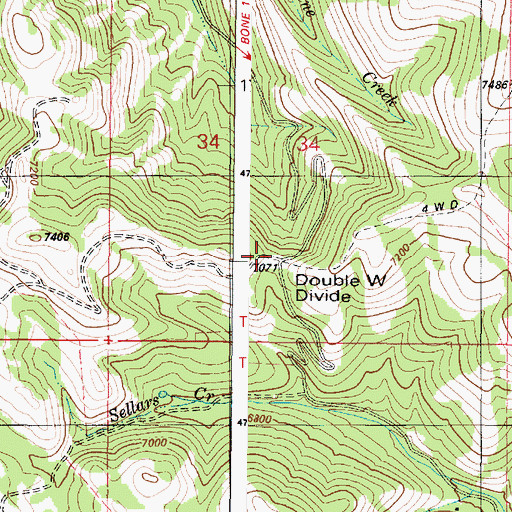 Topographic Map of Double W Divide, ID