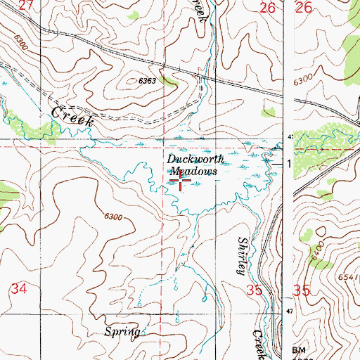 Topographic Map of Duckworth Meadows, ID