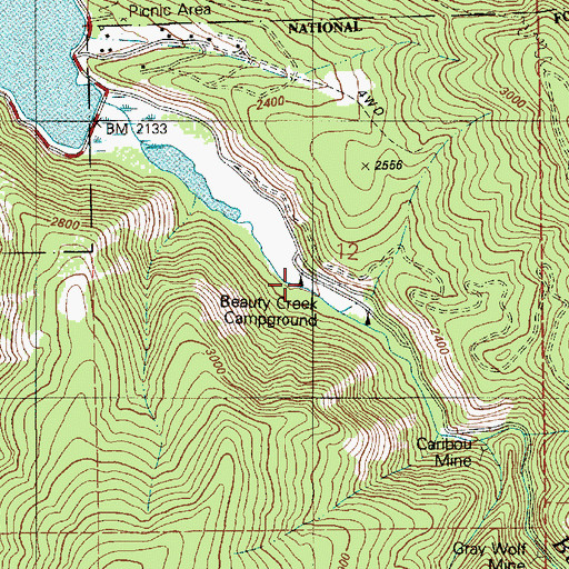 Topographic Map of Beauty Creek Campground, ID