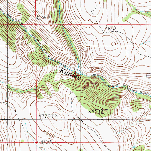 Topographic Map of East Fork Keithly Creek, ID