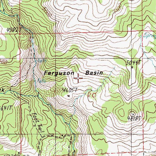 Topographic Map of Ferguson Basin, ID