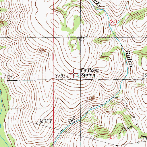 Topographic Map of Fir Point Spring, ID