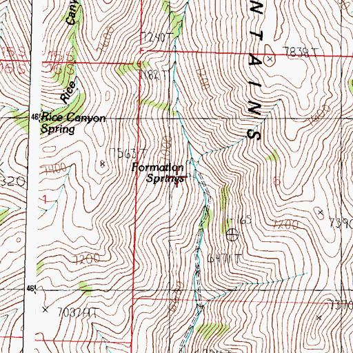 Topographic Map of Formation Springs, ID