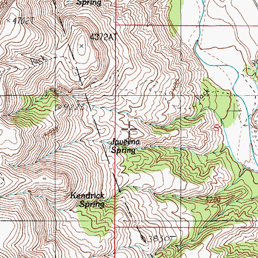 Topographic Map of Javelina Spring, AZ