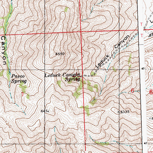Topographic Map of Leduck Canyon Spring, ID