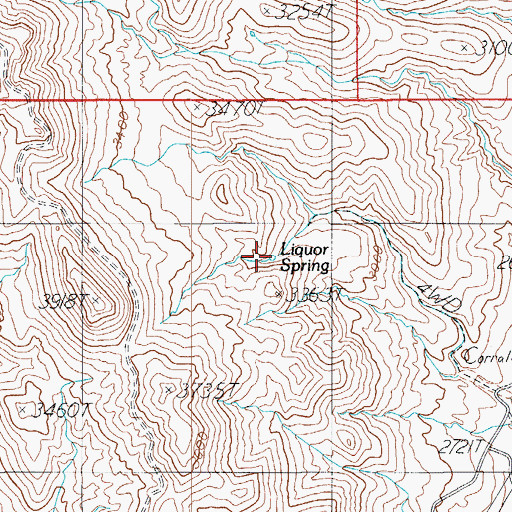 Topographic Map of Liquor Spring, AZ