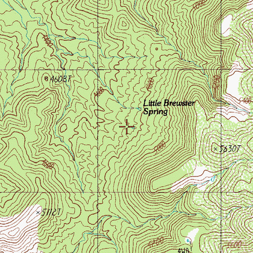 Topographic Map of Little Brewster Spring, AZ