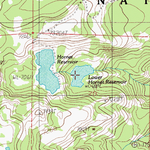 Topographic Map of Lower Hornet Reservoir, ID