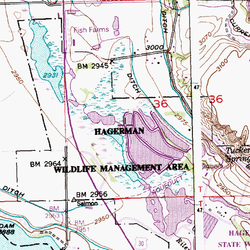 Topographic Map of Hagerman Wildlife Management Area, ID