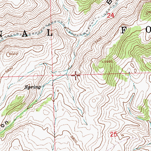 Topographic Map of Cave Canyon, ID